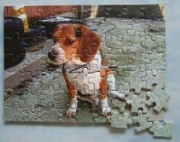 ���������ᥤ�ɥ��������ѥ���2L