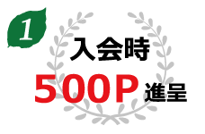 入会時に500ポイント進呈