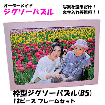 枠型ジグソーパズル(B5)フレームセット