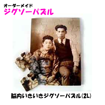 脳内いきいきジグソーパズル 2L判