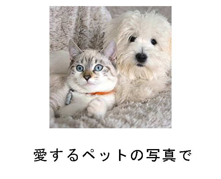 愛するペットの写真をパズルに