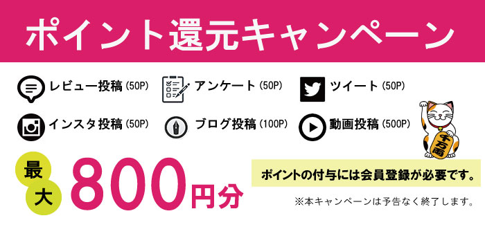 ポイント還元キャンペーン ブログ掲載、レビュー投稿、ツイート、設置写真送付で最大2,000円分ポイント還元