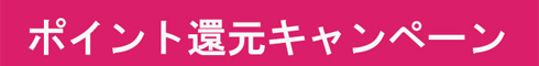 ポイント還元キャンペーン実施中